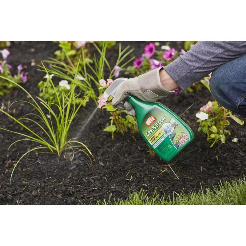 Best Pirce โค๏ธ Ortho Grass B Gon Weed and Grass Killer RTU Liquid 24 oz ๐ฅ 5 Best Pirce โค๏ธ Ortho Grass B Gon Weed and Grass Killer RTU Liquid 24 oz ๐ฅ - Image 3