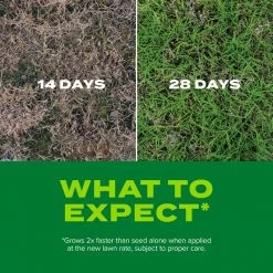 Best reviews of 👏 Scotts Turf Builder Rapid Grass Bermuda Grass Sun or Shade Grass Seed and Fertilizer 4 lb 😍 16 Best reviews of 👏 Scotts Turf Builder Rapid Grass Bermuda Grass Sun or Shade Grass Seed and Fertilizer 4 lb 😍 -Scotts Sales Store dc9a1601 2176 4dab a153 79bd81e8055d