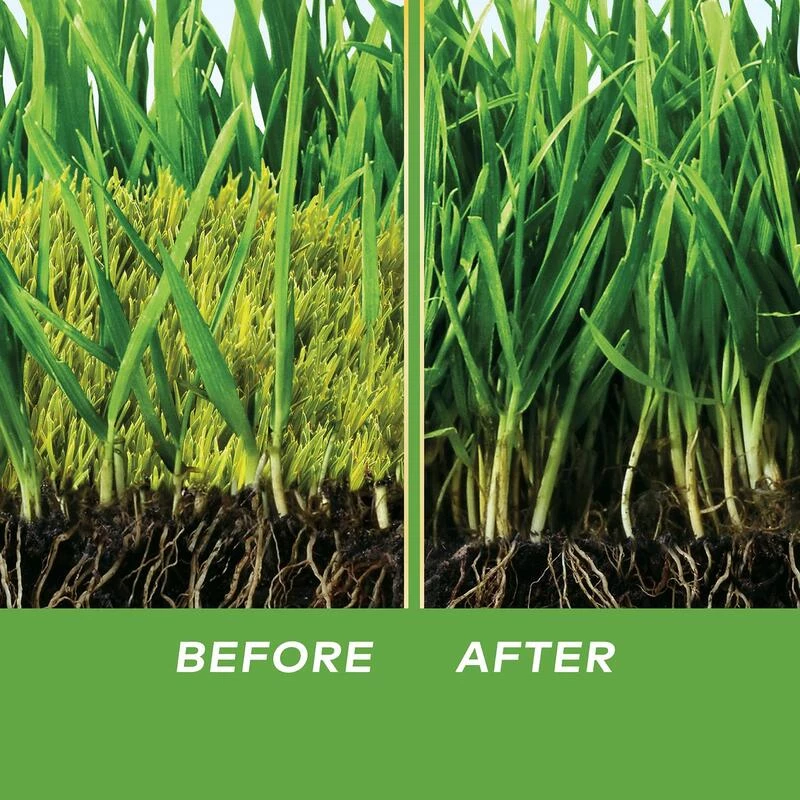 Buy ๐ Scotts MossEx Moss Control Granules 4.59 lb ๐ 7 Buy ๐ Scotts MossEx Moss Control Granules 4.59 lb ๐ - Image 5