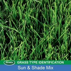 Top 10 🤩 Scotts Turf Builder Mixed Dense Shade/Full Sun Grass Seed 7 lb 🎉 18 Top 10 🤩 Scotts Turf Builder Mixed Dense Shade/Full Sun Grass Seed 7 lb 🎉 -Scotts Sales Store e45fdf40 47af 444a 995e 696f7fe1b930