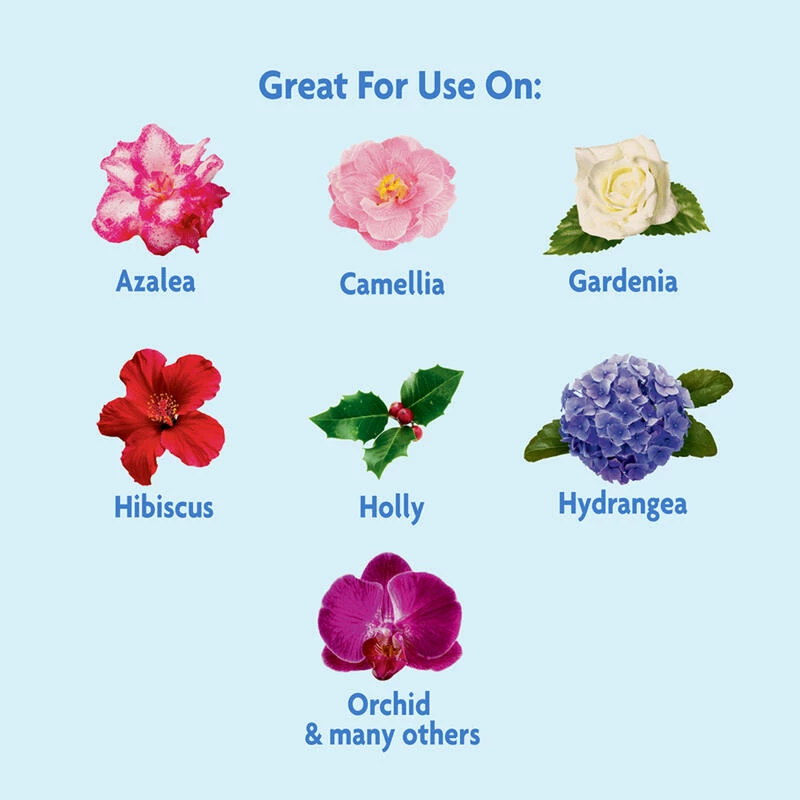 Outlet ๐ Miracle-Gro Miracid Powder Hibiscus Plant Food 4 lb โค๏ธ 4 Outlet ๐ Miracle-Gro Miracid Powder Hibiscus Plant Food 4 lb โค๏ธ - Image 2