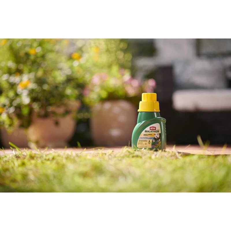 Discount ๐ Ortho MAX Malathion Insect Killer Liquid Concentrate 16 oz โจ 5 Discount ๐ Ortho MAX Malathion Insect Killer Liquid Concentrate 16 oz โจ - Image 3