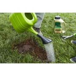 New โ๏ธ Scotts EZ Seed Tall Fescue Grass Sun or Shade Seed/Fertilizer/Mulch Repair Kit 3.75 lb ๐ 16 New โ๏ธ Scotts EZ Seed Tall Fescue Grass Sun or Shade Seed/Fertilizer/Mulch Repair Kit 3.75 lb ๐ -Scotts Sales Store e98ceac4 aa9a 43bd 9469 b36d8502a868