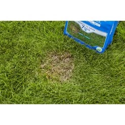 Cheap ๐คฉ Scotts PatchMaster Mixed Sun or Shade Grass Spot Repair Seed 4.75 lb ๐ 13 Cheap ๐คฉ Scotts PatchMaster Mixed Sun or Shade Grass Spot Repair Seed 4.75 lb ๐ -Scotts Sales Store edf461a0 6c85 45c7 82f3 c247ff5eb7a7