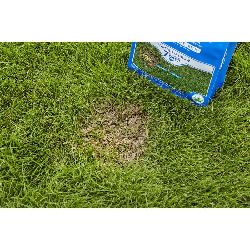 Cheap ๐คฉ Scotts PatchMaster Mixed Sun or Shade Grass Spot Repair Seed 4.75 lb ๐ 7 Cheap ๐คฉ Scotts PatchMaster Mixed Sun or Shade Grass Spot Repair Seed 4.75 lb ๐ - Image 5