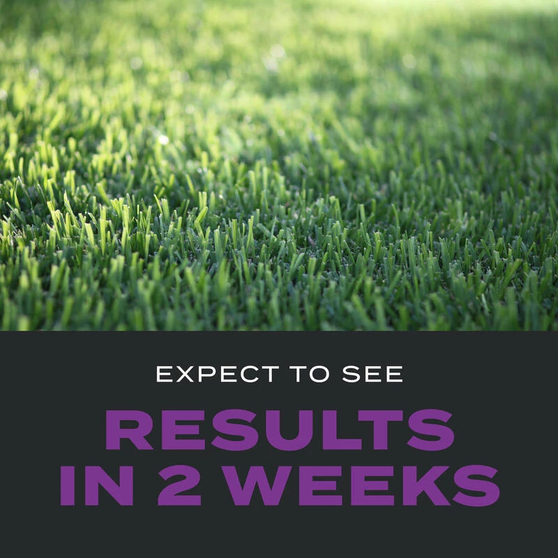 Best Sale ๐ Scotts Turf Builder Southern Triple Action Weed & Feed Lawn Fertilizer For All Grasses 8000 sq ft ๐งจ 11 Best Sale ๐ Scotts Turf Builder Southern Triple Action Weed & Feed Lawn Fertilizer For All Grasses 8000 sq ft ๐งจ - Image 9