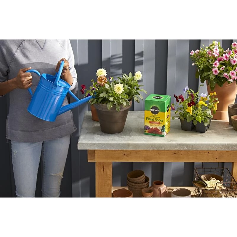 Deals 🔔 Miracle-Gro Powder All Purpose Plant Food 3 lb 🎁 8 Deals 🔔 Miracle-Gro Powder All Purpose Plant Food 3 lb 🎁 - Image 6