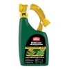 Deals ✔️ Ortho WeedClear Weed Killer RTS Hose-End Concentrate 32 oz 😍 -Scotts Sales Store f0000bb1 e22f 4ab0 a2c1 a62e32f889f3
