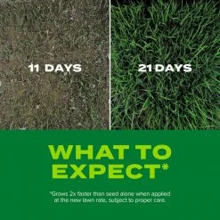 Discount ๐ Scotts Turf Builder Rapid Grass Tall Fescue Grass Sun or Shade Grass Seed and Fertilizer 5.6 lb โค๏ธ 16 Discount ๐ Scotts Turf Builder Rapid Grass Tall Fescue Grass Sun or Shade Grass Seed and Fertilizer 5.6 lb โค๏ธ -Scotts Sales Store f2f00908 015a 4b25 b272 b84c0110dc12