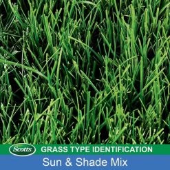 Best Pirce ❤️ Scotts Turf Builder Mixed Sun or Shade Grass Seed 3 lb 😀 -Scotts Sales Store fa516f43 a7c5 4c47 b20e 97393a513187