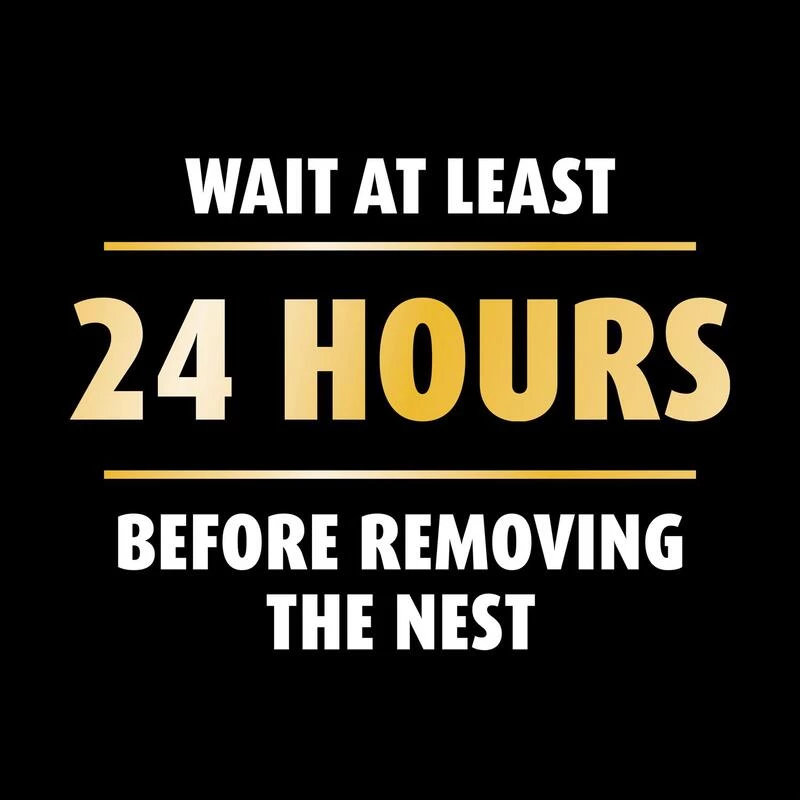 Cheap 😀 Ortho Home Defense Wasp and Hornet Killer Aerosol 16 oz 🧨 10 Cheap 😀 Ortho Home Defense Wasp and Hornet Killer Aerosol 16 oz 🧨 - Image 8