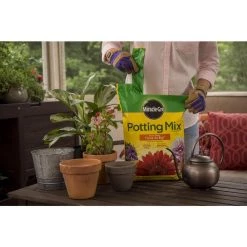 Top 10 ❤️ Miracle-Gro Flower and Plant Potting Mix 8 qt 🧨 -Scotts Sales Store fde97455 7343 4bc8 a51e 6d0d838d6cb0