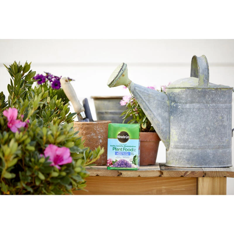 Coupon 🌟 Miracle-Gro Powder Azalea, Camellia, Rhododendron Plant Food 1.5 lb ⌛ 8 Coupon 🌟 Miracle-Gro Powder Azalea, Camellia, Rhododendron Plant Food 1.5 lb ⌛ - Image 6